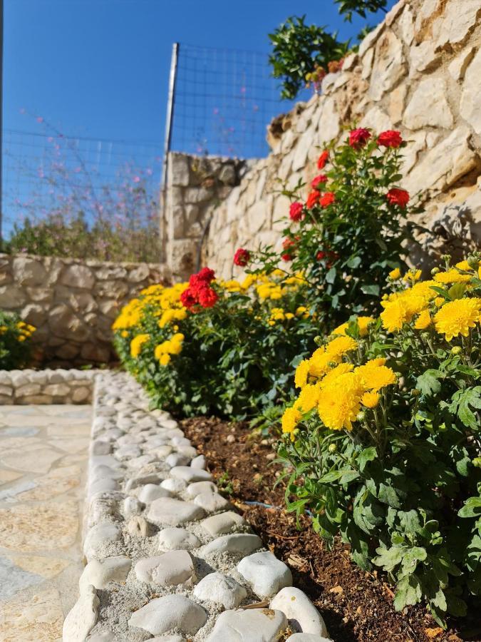 Guesthouse Redilka Εξαμίλιο Εξωτερικό φωτογραφία